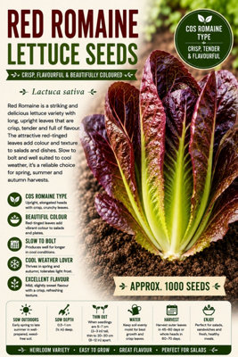 B&Q -  Red Romaine Lettuce Seeds For Fresh Salad Growing