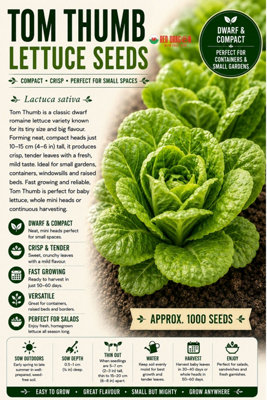 B&Q -  Tom Thumb Lettuce Seeds For Fresh Salad Growing