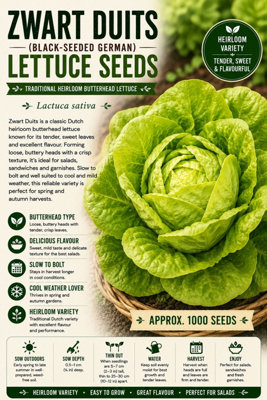 B&Q -  Zwart Duits Lettuce Seeds For Fresh Salad Growing