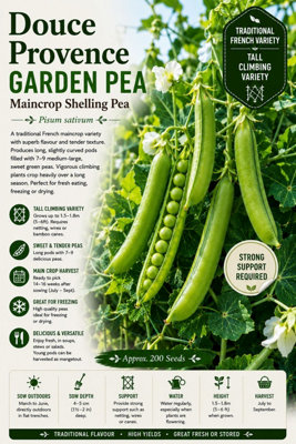 B&Q -  Douce Provence Garden Pea Seeds For Vegetable Garden Growing