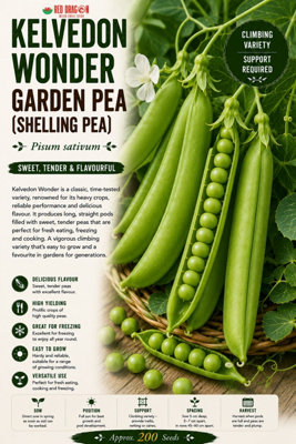 B&Q -  Kelvedon Wonder Garden Pea Seeds For Vegetable Garden Growing