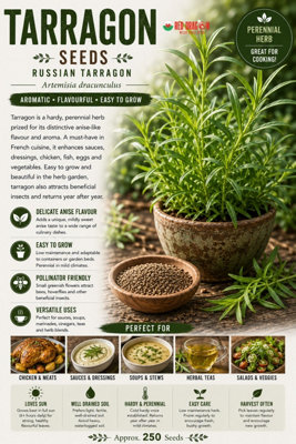 B&Q -  Tarragon Seeds For Home Garden Growing