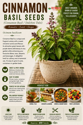 B&Q -  Cinnamon Basil  Herb Seeds For Pots And Gardens