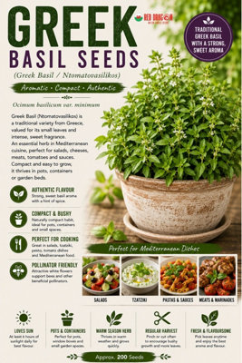 B&Q -  Greek Basil  Herb Seeds For Pots And Gardens