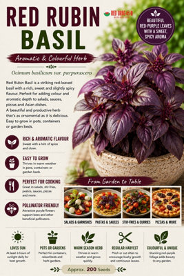 B&Q -  Red Rubin Basil  Herb Seeds For Pots And Gardens