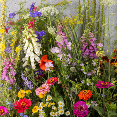 Shop all plants, seeds and bulbs