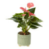 Found it product image.
