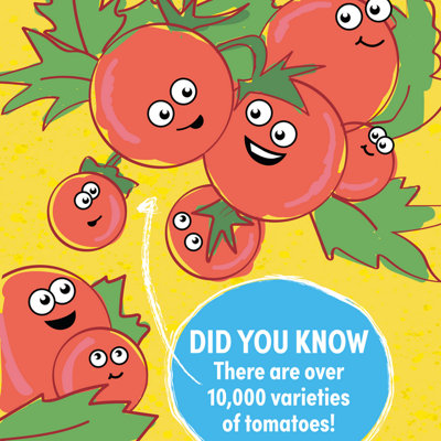 Verve Tomato 'cherry' Vegetable Seeds from B&Q