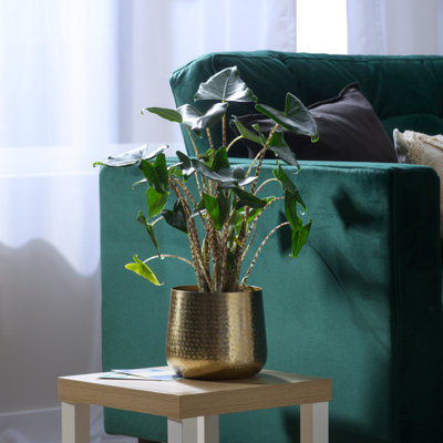 B&Q -  Aged Gold Effect Metal Plant Pot (Dia) 26Cm(H)25Cm