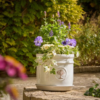 Shop pots, planters & baskets
