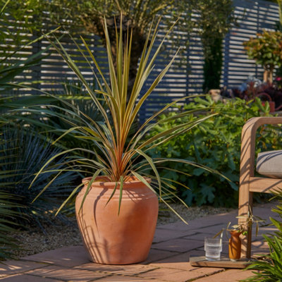 Shop Pots & planters at B&Q