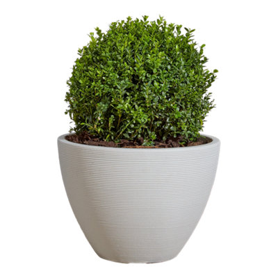 Verve Taupe Stone Effect Ridged Planter Plastic Plant Pot (Dia) 40Cm(H)30Cm from B&Q
