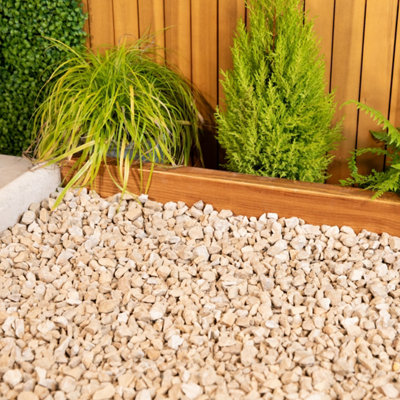 Shop decorative stones.
