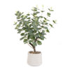 Found it product image.