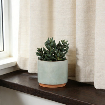 Green & Yellow 18Cm Succulent Plant Pot With Artificial Plant In Green Ceramic Pot from B&Q