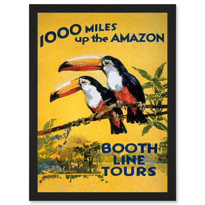 Artery8 Toucan River Brazil South America Jungle Rain Forest Vintage Travel Advert Wall Art PrintA4 Size from B&Q