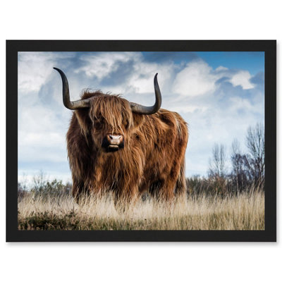 Artery8 Scottish Highland Cow Hairy Coo Photo Wall Art PrintA4 Size from B&Q