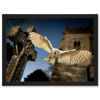 Artery8 Photo Barn Owl In Flight Bird Alba Graveyard Scotland Wall Art PrintA4 Size from B&Q