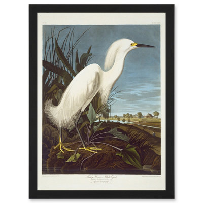 Artery8 Painting Bird Audubon Snowy Heron Egret Wall Art PrintA4 Size from B&Q