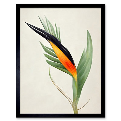 Artery8 Framed Wall Art Tropical Bird Of Paradise Flower Gold Black12X16 Inch from B&Q