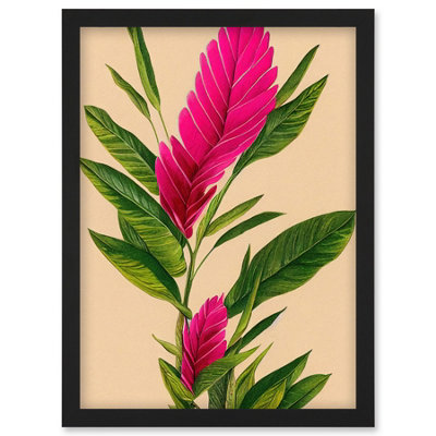 Artery8 Tropical Hawaiian Botanical Exotic Pink Floral Illustration Wall Art PrintA4 Size from B&Q