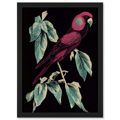 Artery8 Burgundy Parakeet Retro Modern Vintage Tropical Jungle Wall Art PrintA4 Size from B&Q