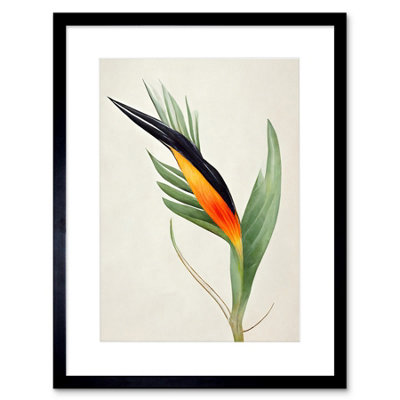Artery8 Wall Art Print Tropical Bird Of Paradise Flower Gold Black Artwork Framed 9X7 Inch from B&Q