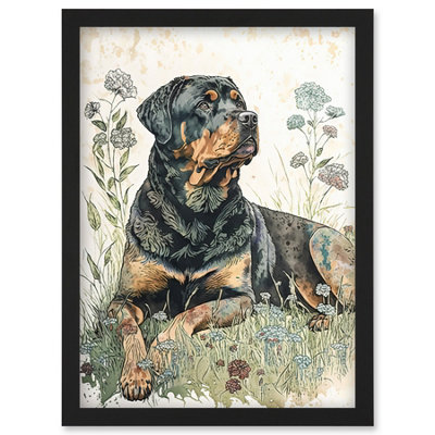 Artery8 Rottweiler Dog Lying In Wildflowers Bright Watercolour Illustration Wall Art PrintA4 Size from B&Q