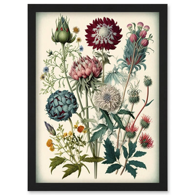 B&Q -  Ernst Haeckel Style Vintage Botanical Plant Study Modern Watercolour Painting Illustration Wall Art PrintA4 Size