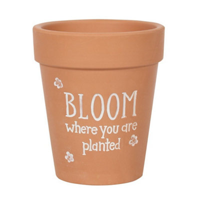 Something Different Bloom Where You Are Planted Terracotta Plant Pot Brown/white (17Cm X 15Cm X 15Cm) from B&Q