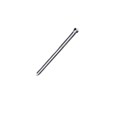 Securpak Masonry Nails (Pack Of 30) Silver (25mm) from B&Q