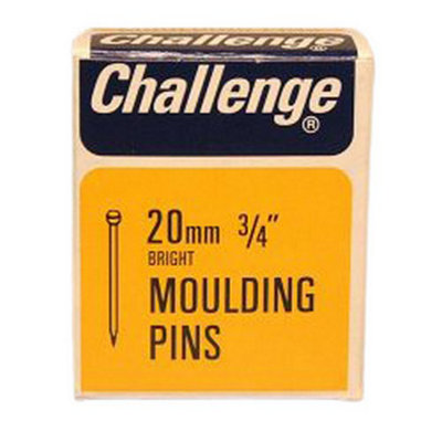 Challenge Moulded Moulding Pins Silver (20mm) from B&Q