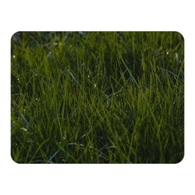 B&Q -  Fresh Green Grass BackgroundNatural Grass (Blanket) / Default Title