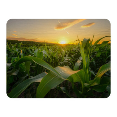 Andrew Lee Young Green Corn Growing On The Field At Sunset (Blanket) (Blanket) / Default Title from B&Q