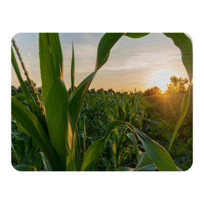 Andrew Lee Corn And Sun Close Up (Blanket) / Default Title from B&Q