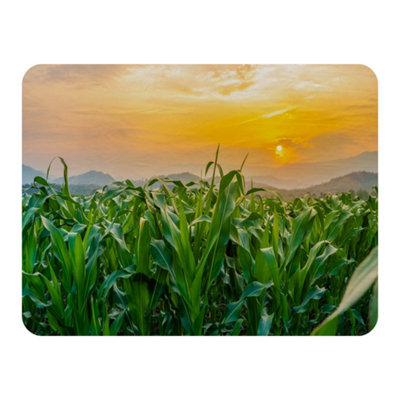 Andrew Lee Green Corn Field In Agricultural Garden And Light Shines Sunset (Blanket) / Default Title from B&Q