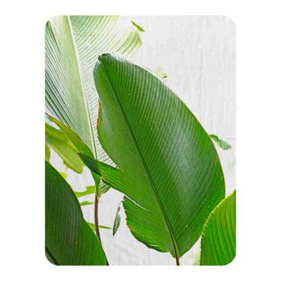 Andrew Lee Green Leaf Blanket / Default Title from B&Q