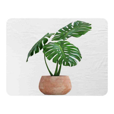 Andrew Lee Monstera Blanket / Default Title from B&Q