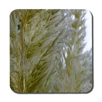 Andrew Lee Autumn Pampas Grass Close Up (Coaster) / Default Title from B&Q