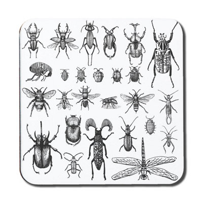 Andrew Lee Big Set Of Insects Bugs Beetles And BeesFleas Many Species In Vintage Old Hand Drawn Style (Coaster) / Default Title from B&Q