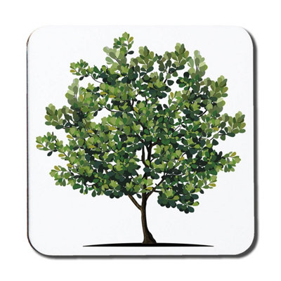 Andrew Lee Tree (Coaster) / Default Title from B&Q