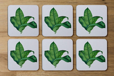 Andrew Lee Bunched Leaves (Coaster) / Default Title from B&Q