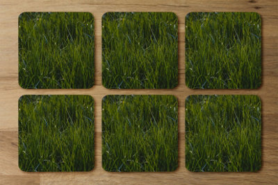 Andrew Lee Fresh Green Grass BackgroundNatural Grass (Coaster) / Default Title from B&Q