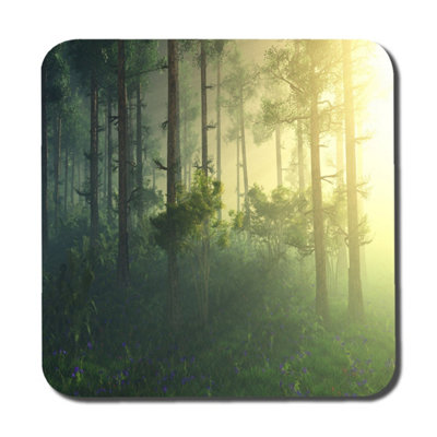 Andrew Lee Forest In The Morning In A Fog In The SunTrees In A Haze Of LightGlowing Fog Among The Trees (Coaster) / Default Title from B&Q