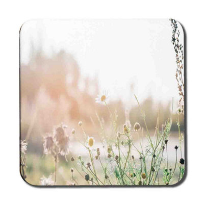 Andrew Lee Wild Daisies Coaster Set / Default Title from B&Q