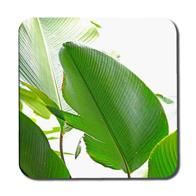 B&Q -  Green Leaf Coaster Set / Default Title