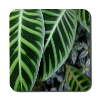 Andrew Lee Green Leaves With White And Yellow Structure In Exotic Jungle Setting (Coaster) / Default Title from B&Q