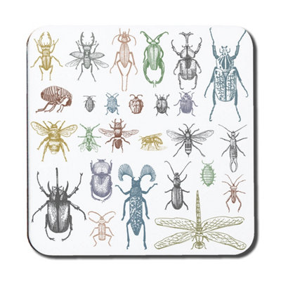 Andrew Lee Big Set Of Insects Bugs Beetles And Bees Many Species In Vintage Old Hand Drawn Style (Coaster) / Default Title from B&Q