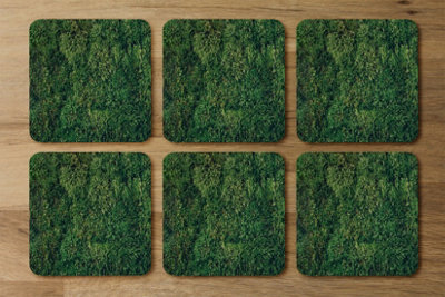 Andrew Lee Natural Green Moss (Coaster) / Default Title from B&Q