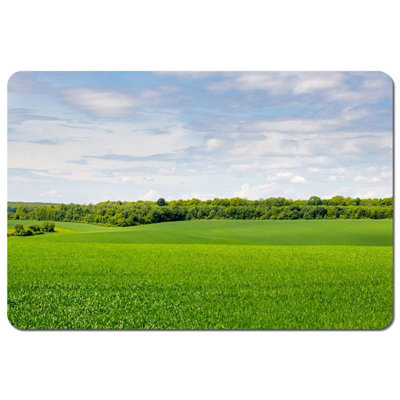 Andrew Lee Summer Landscape With Hilly Green Field And Forest In The Distance (Placemat) / Default Title from B&Q